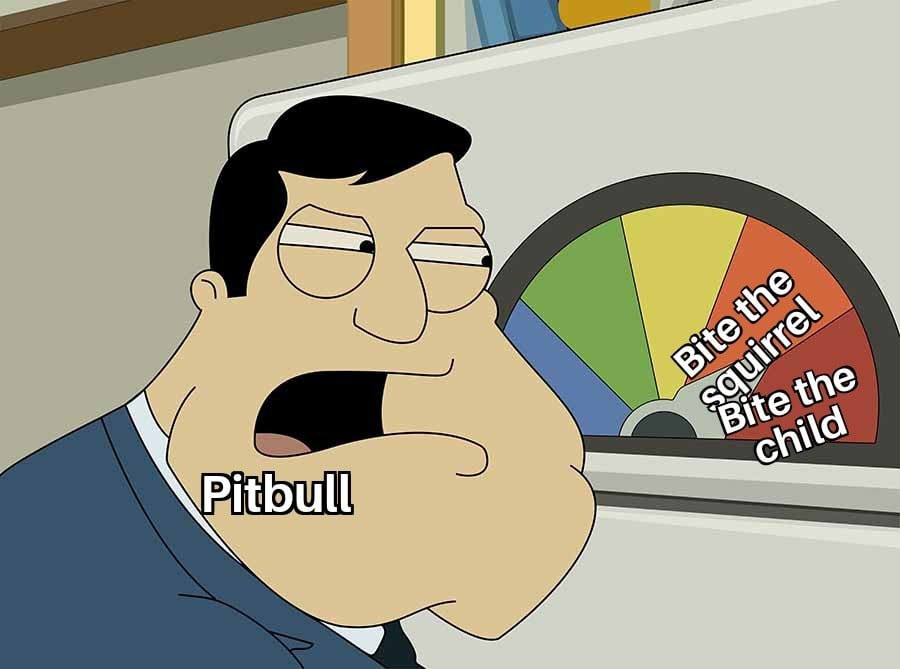 Pitbulls - meme