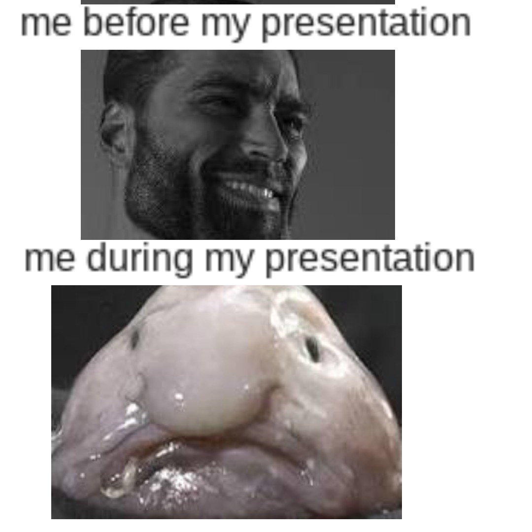 me before my presentation. - meme