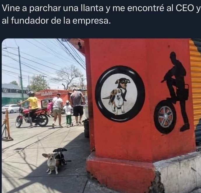 Los perros fundaron esta empresa - meme