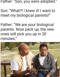 272857348524388 - meme
