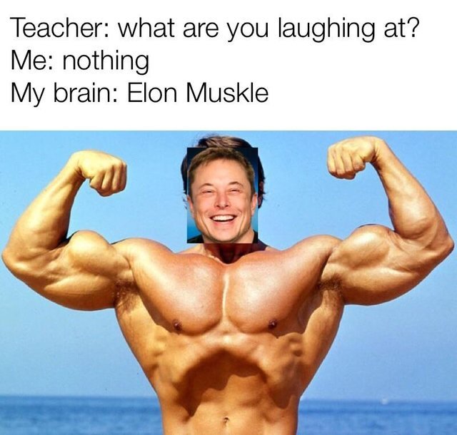 Elon Muskle - meme