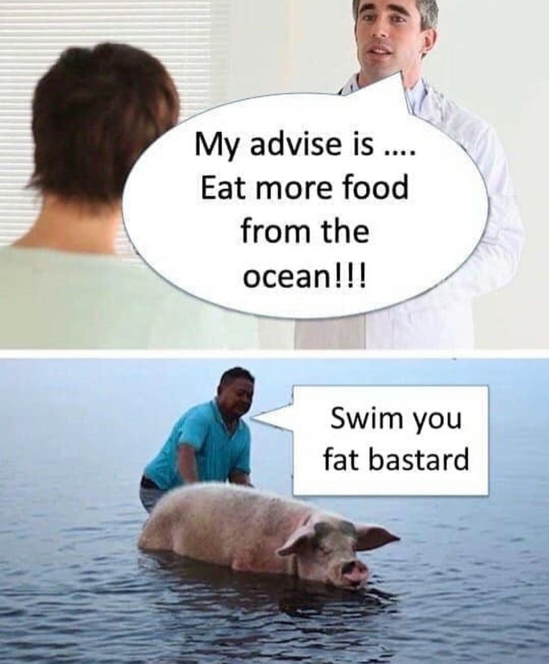 Mmmm sea bacon - meme