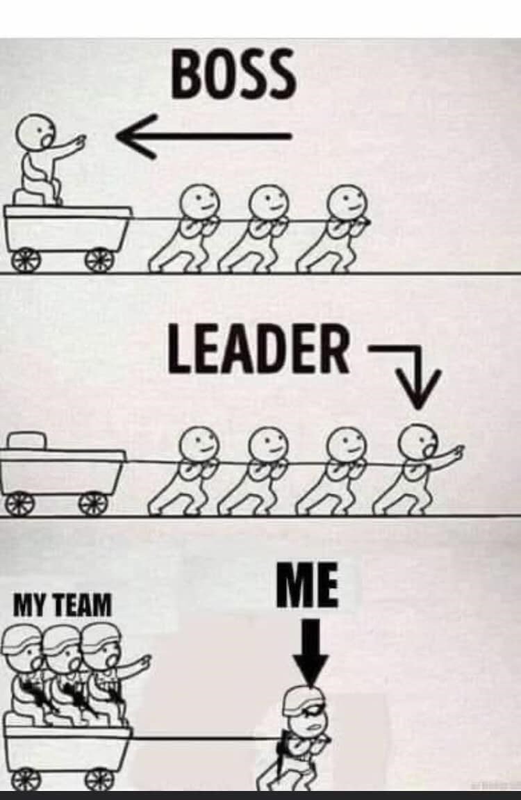 The Latest Memes Memedroid