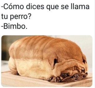 perro bimbo - meme