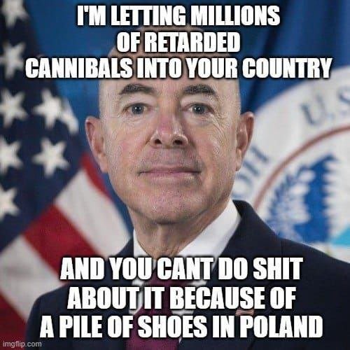 dongs in a policy - meme