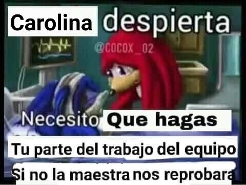 CAROLINA DESPIERTAAAAA - meme