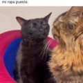 commented item thumbnail