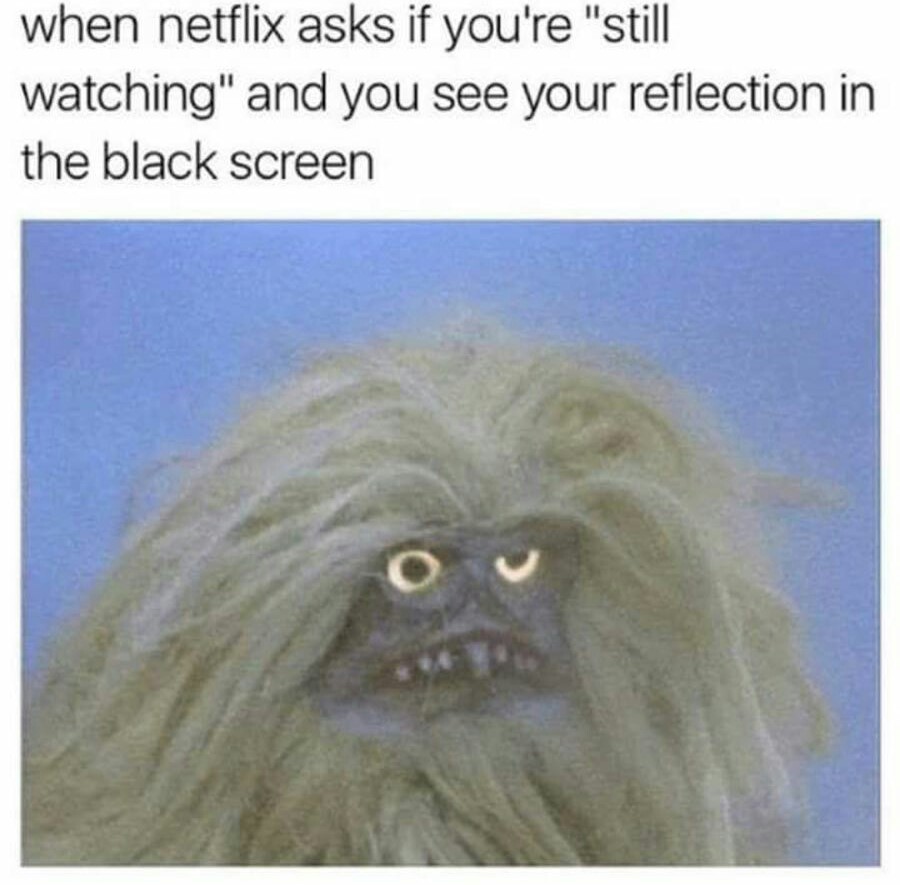Netflix <3 - meme