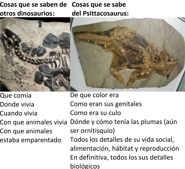 Por si se preguntaban, si, el pistacosaurus era de un color marron mientras que su cloaca (el equivalente al culo en los reptiles) es negro, se cree que era de ese color para atraer al genero contrario - meme