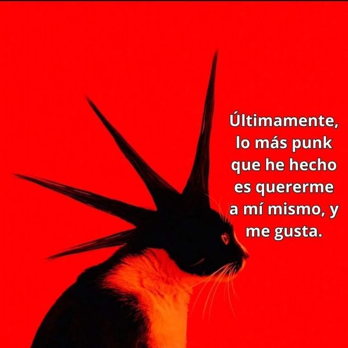 lo más punk - meme