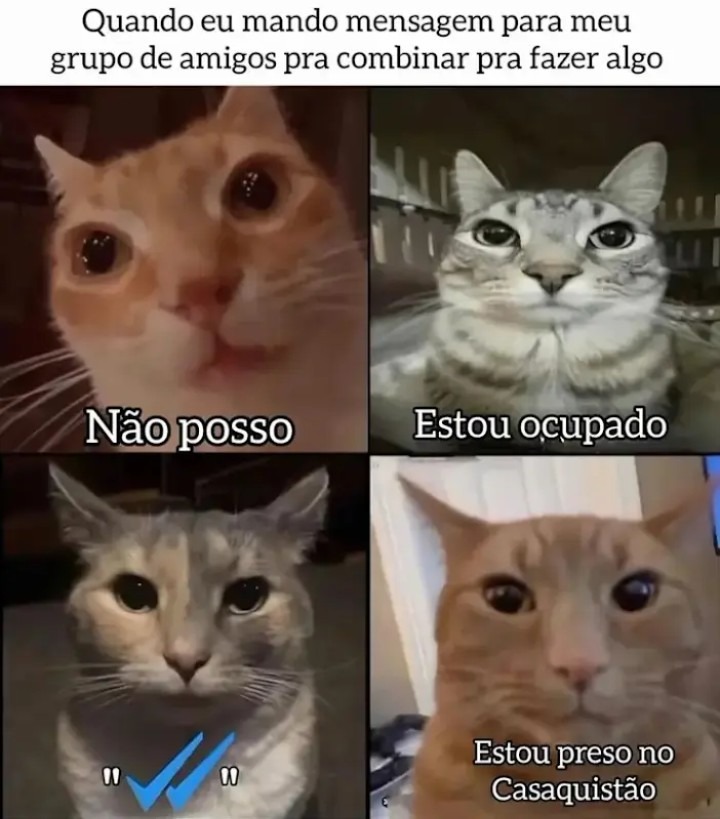 Sem título - meme