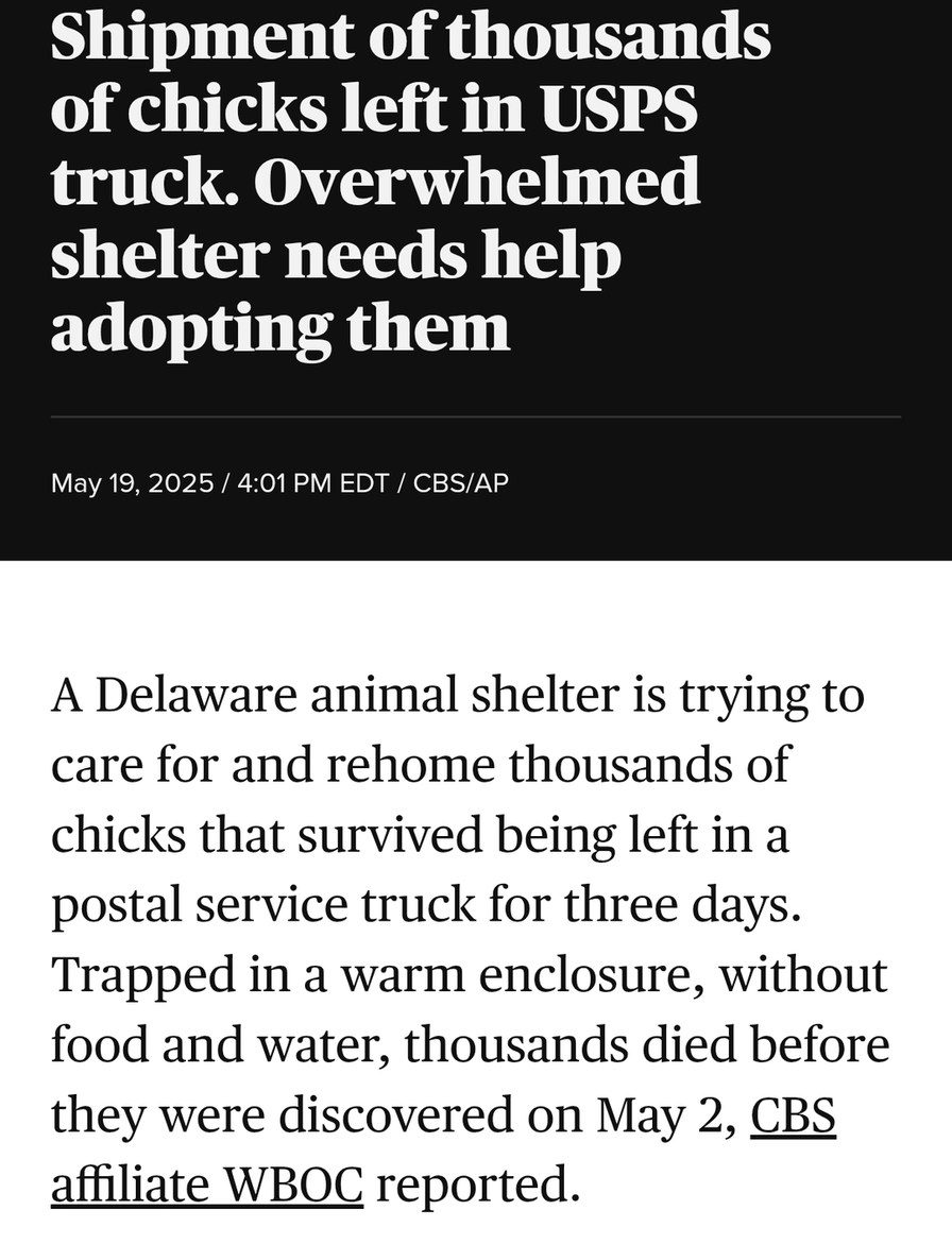 Thousands of chicks left in USPS truck, shelter overwhelmed - meme