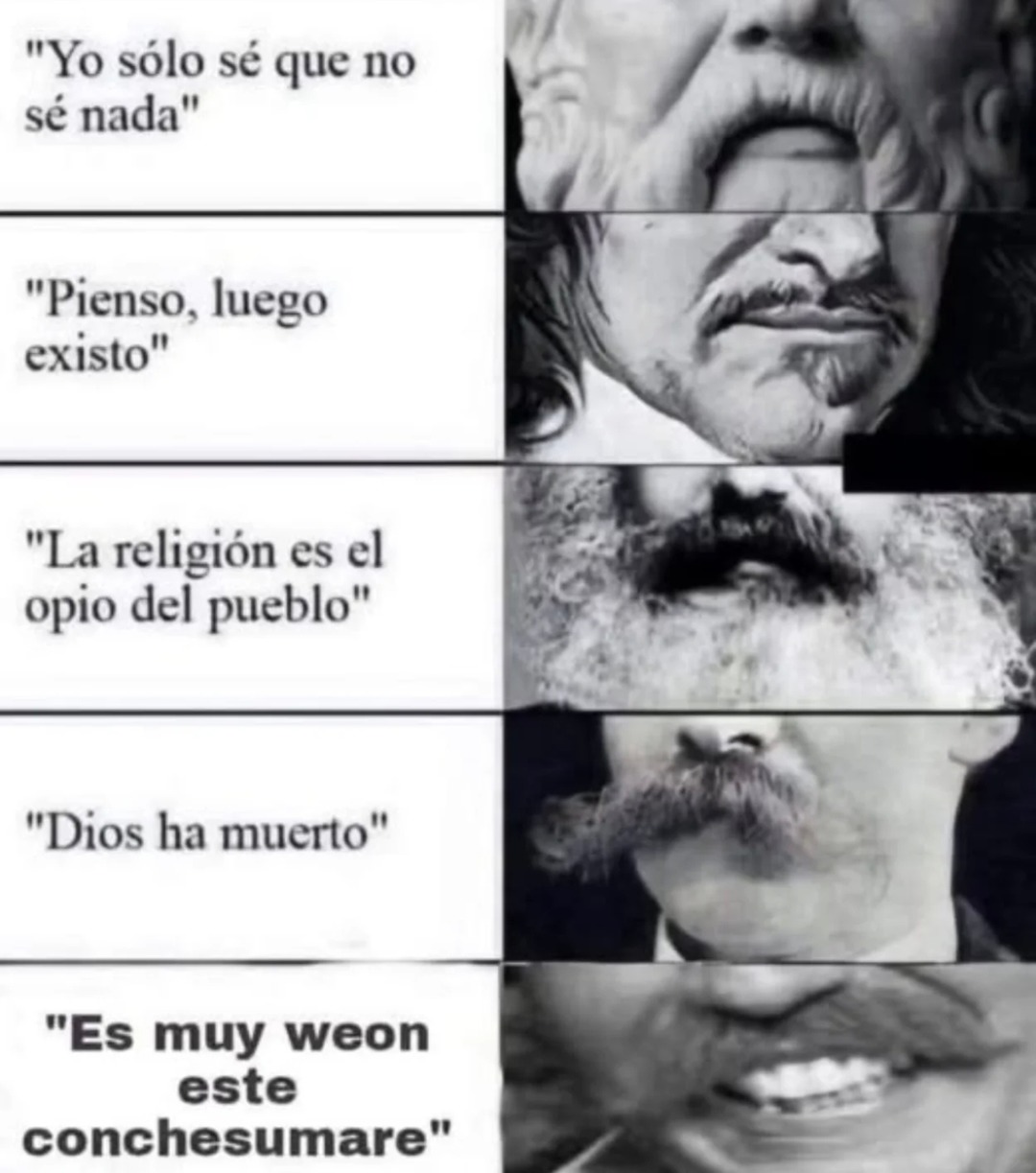 el grupo de filosofía después de dos chelas - meme