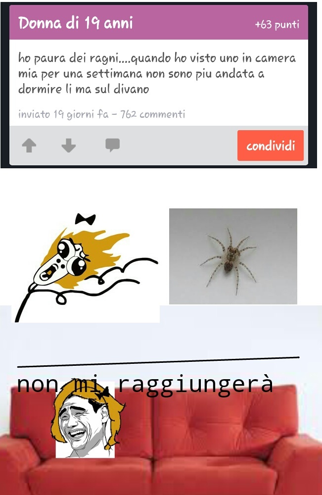 Un ragno settimanale - meme
