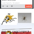 Un ragno settimanale