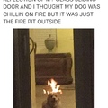doggo is happy to burn