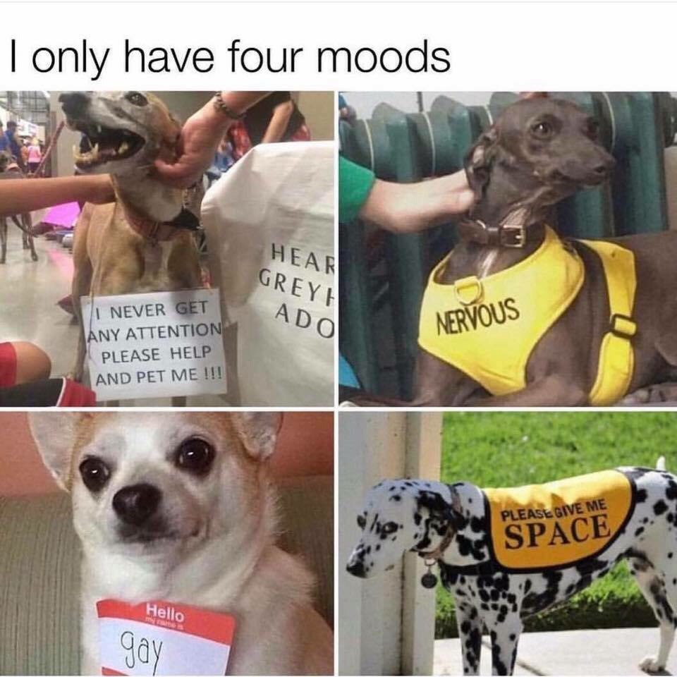 Moods - meme