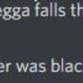 The racist discord guy
