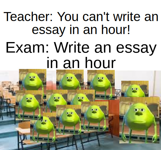You can't write an essay in an hour - meme