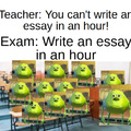You can't write an essay in an hour