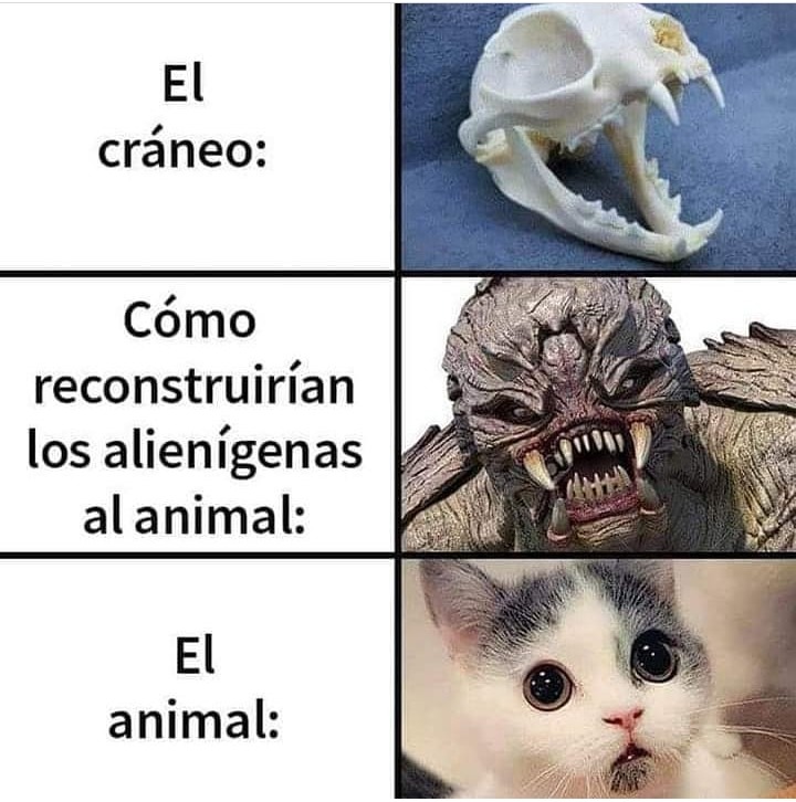 Que prefereix gatos O Perros? - meme