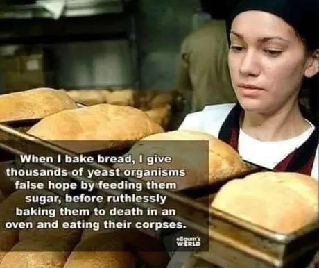 Reality of bread, does it worth it? - meme