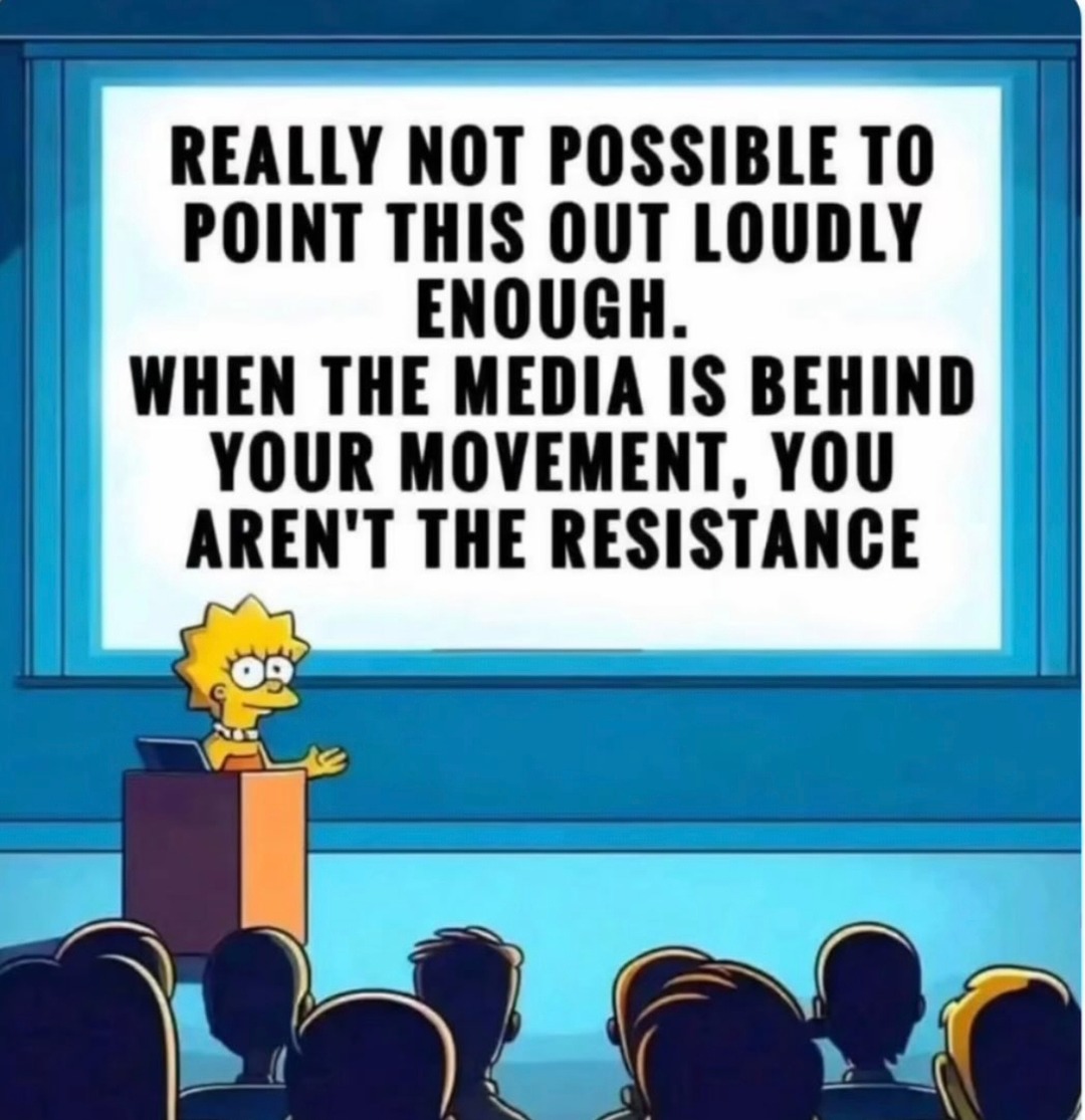 If the media supports your cause, you’re not the resistance bro - meme