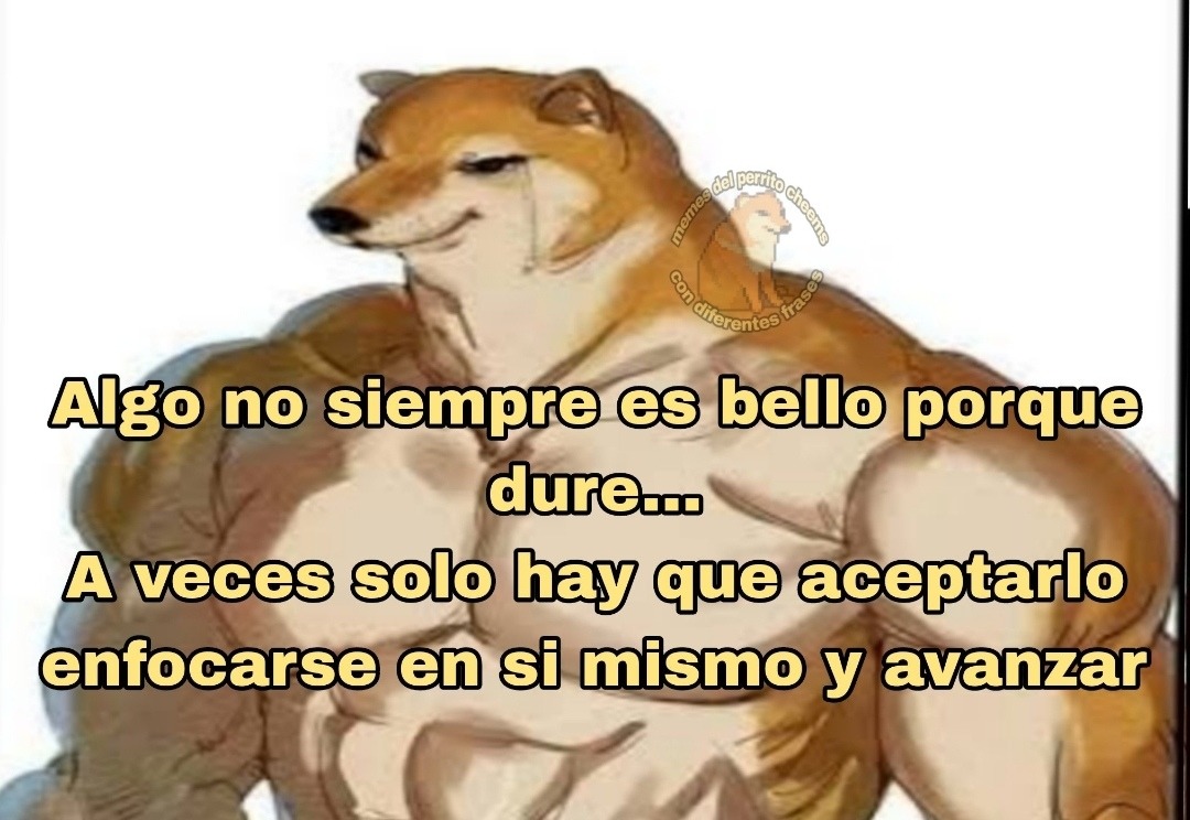 A veces solo hay que aceptar y seguir. Como cuando abres un meme malo pero igual te ríes
