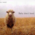 Ewe know what I mean