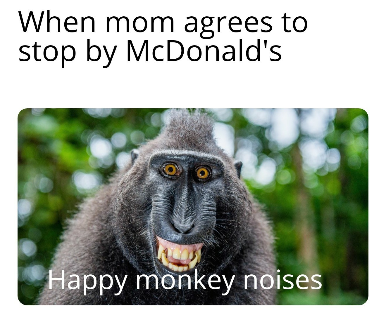Return to monkey - meme