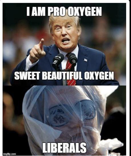 sweet beautiful oxygen - meme