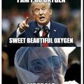 sweet beautiful oxygen