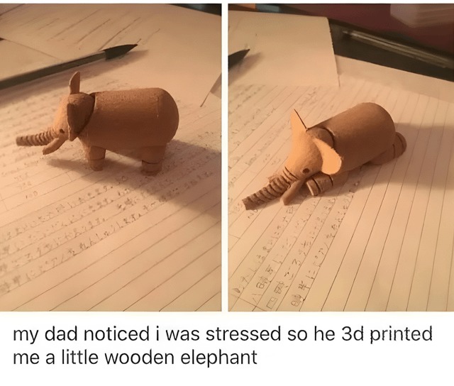 Wholesome dad - meme