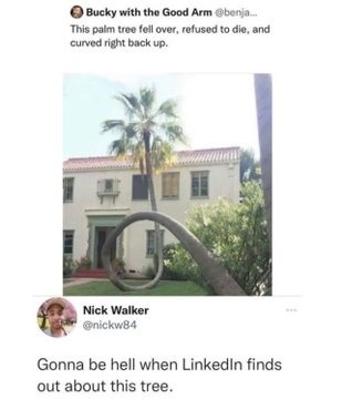 LinkedIn premium required to view this title - meme