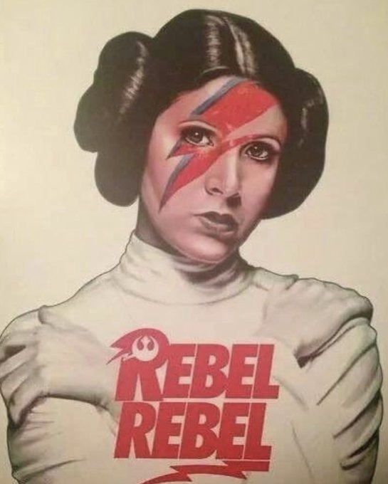Rebel Rebel - meme