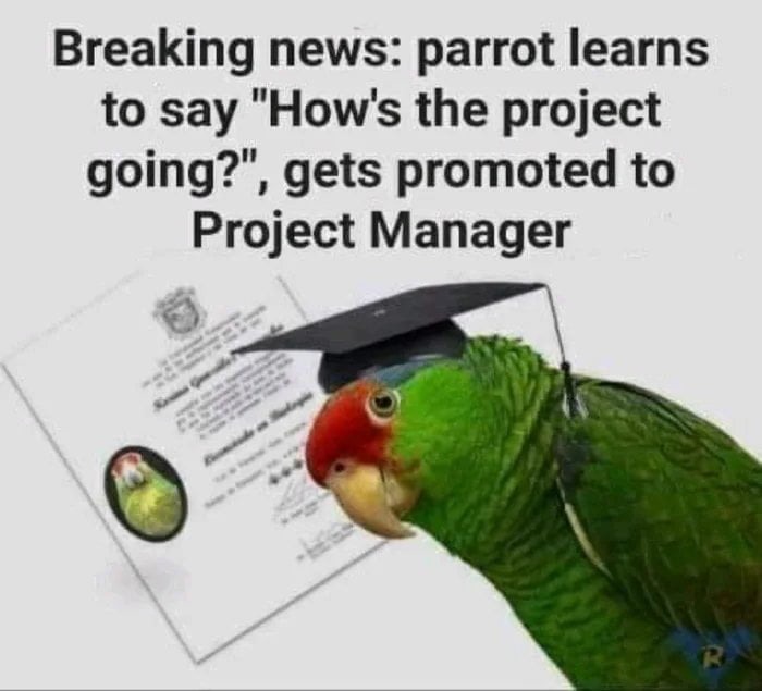 Project manager - meme