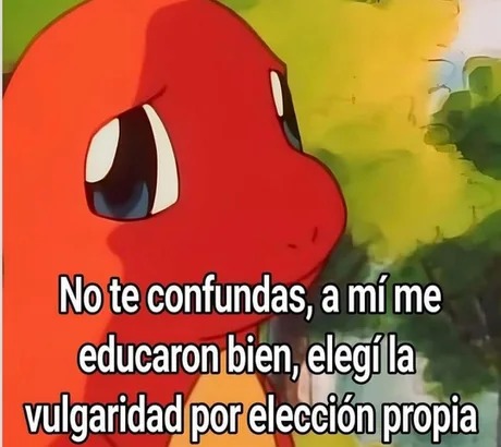 la vulgaridad esta sobrevalorada - meme