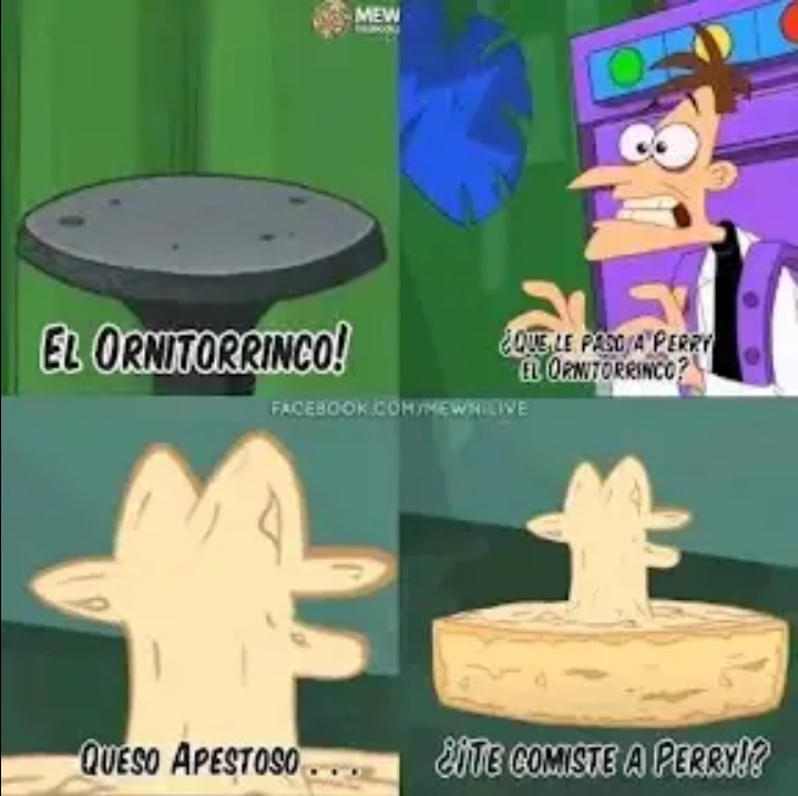 Eso no es queso Gromit :wallace: - meme