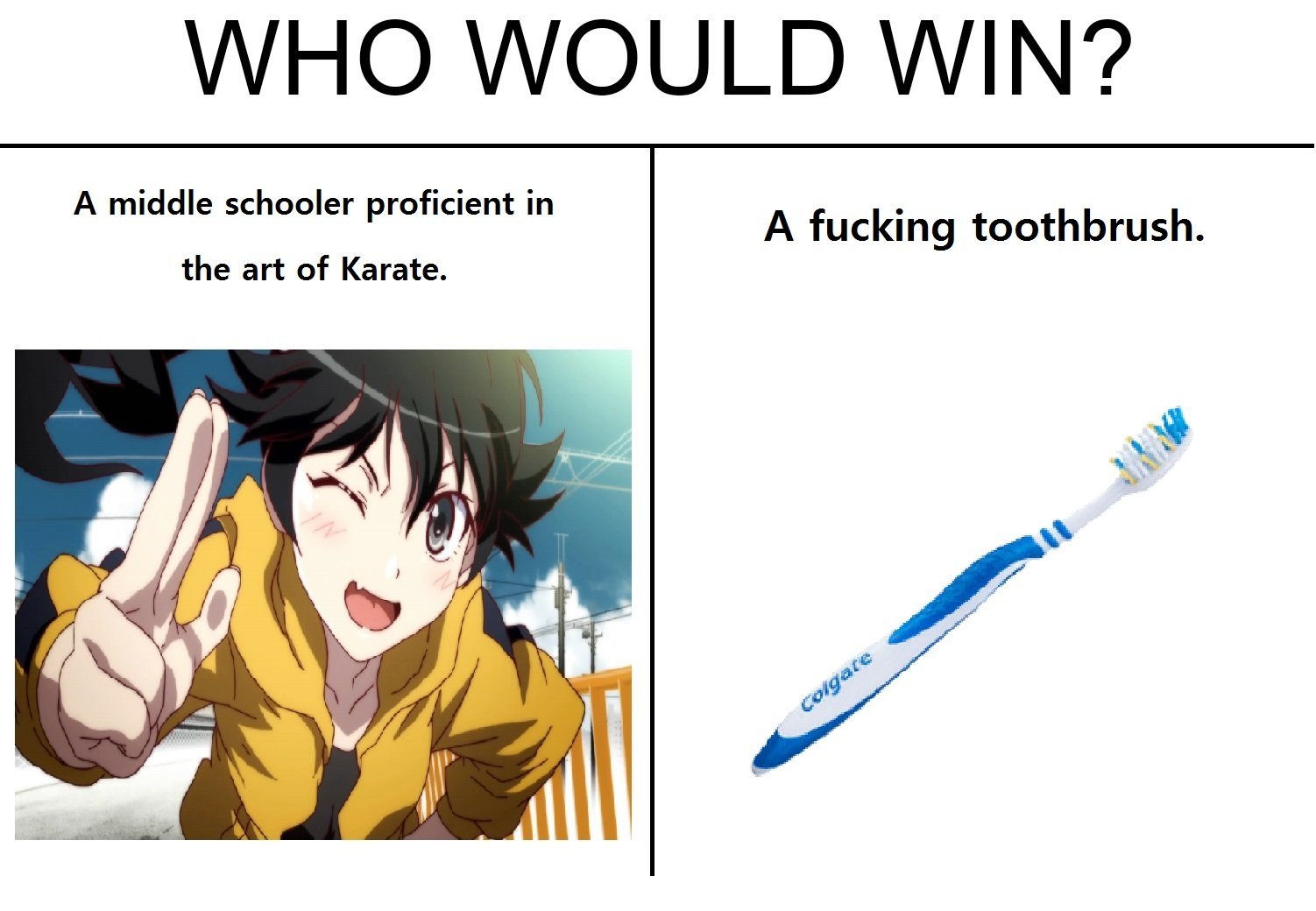my bet's on the toothbrush - meme
