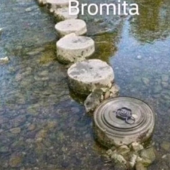 Bromita - meme