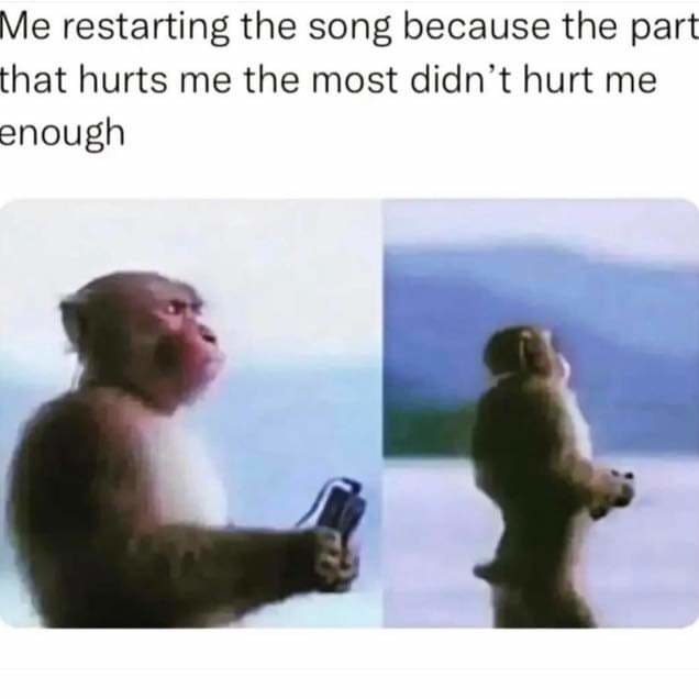 We all have that "fuck me up internally" song - meme