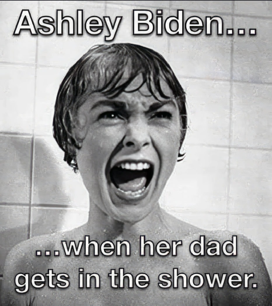 Ashley Biden - meme