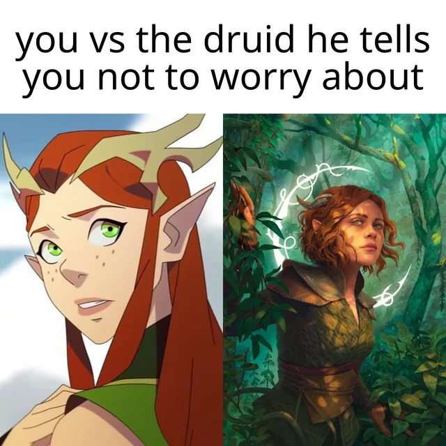 You vs the druid dnd meme