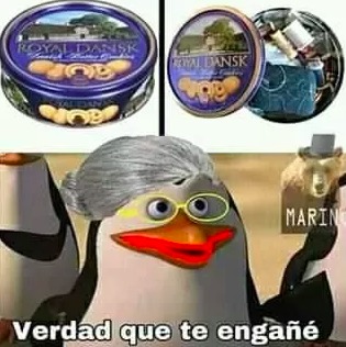 NOooOOOOOooooooOOOOOOOOOOOoooooooo - meme