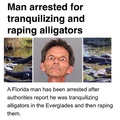 stay away from Florida