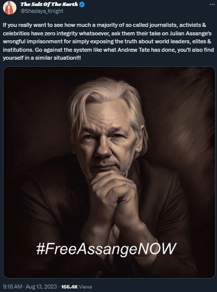 Will Assange ever breathe free air? - meme