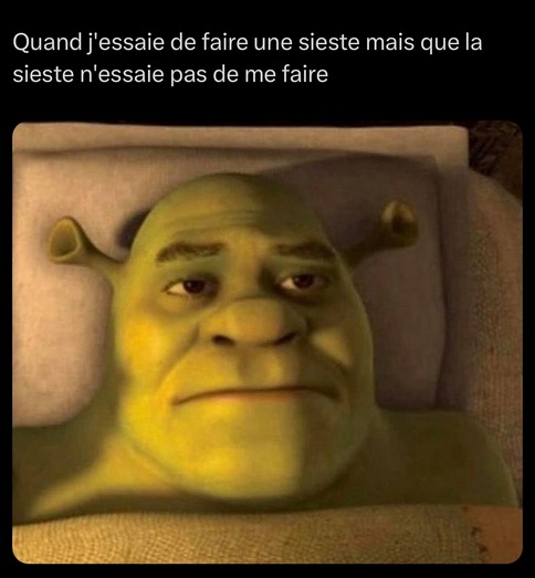 Mon quotidien - meme