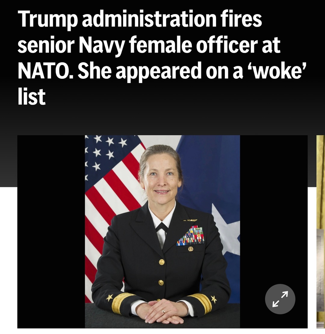 Fired from NATO for being woke - meme