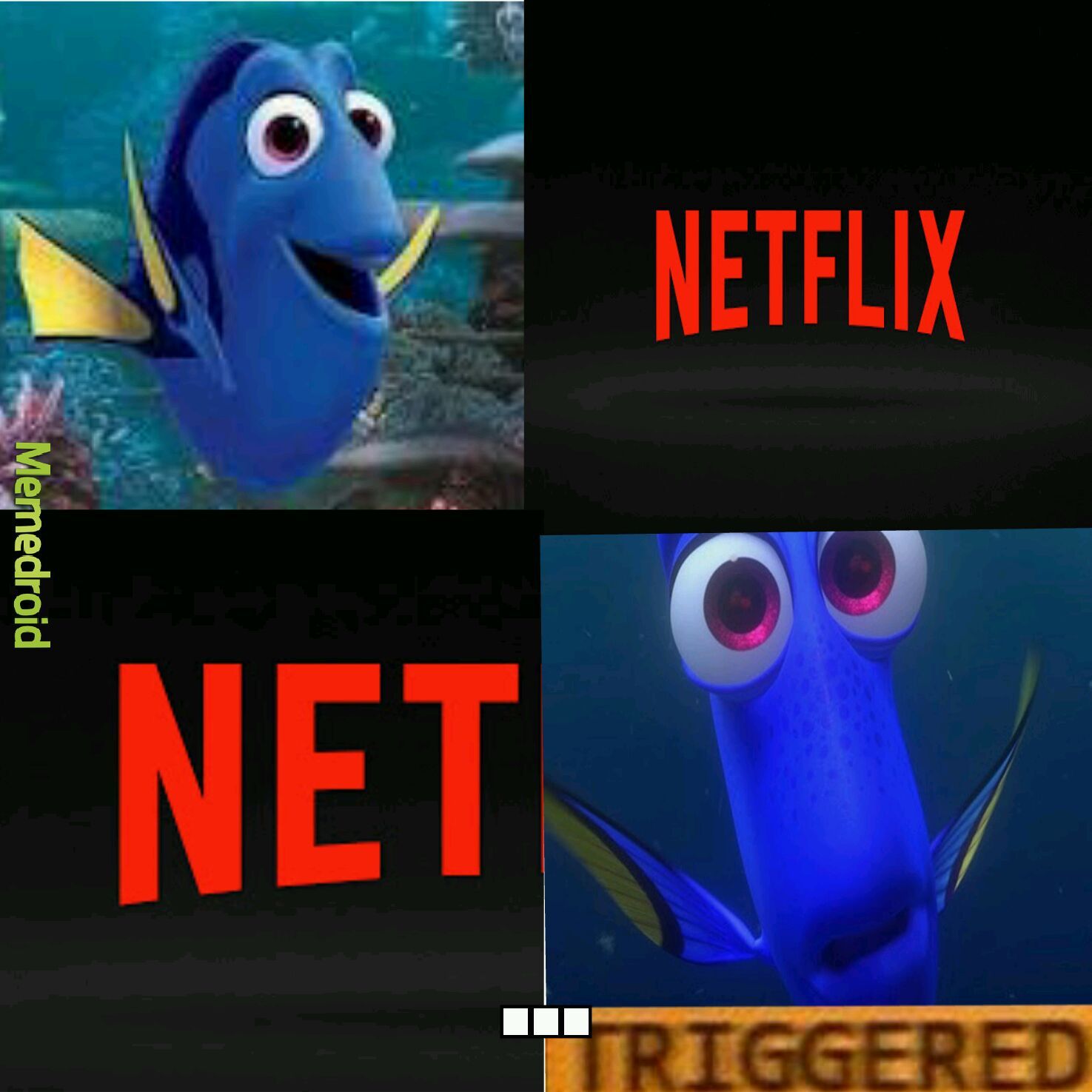 Dory has bad experiences with nets - meme