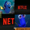 Dory has bad experiences with nets